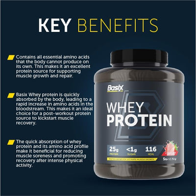 Basix Whey Protein