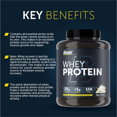 Basix Whey Protein