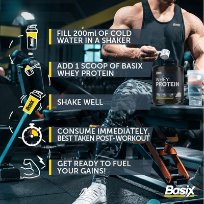 Basix Whey Protein