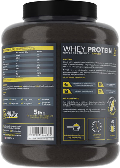 Basix Whey Protein
