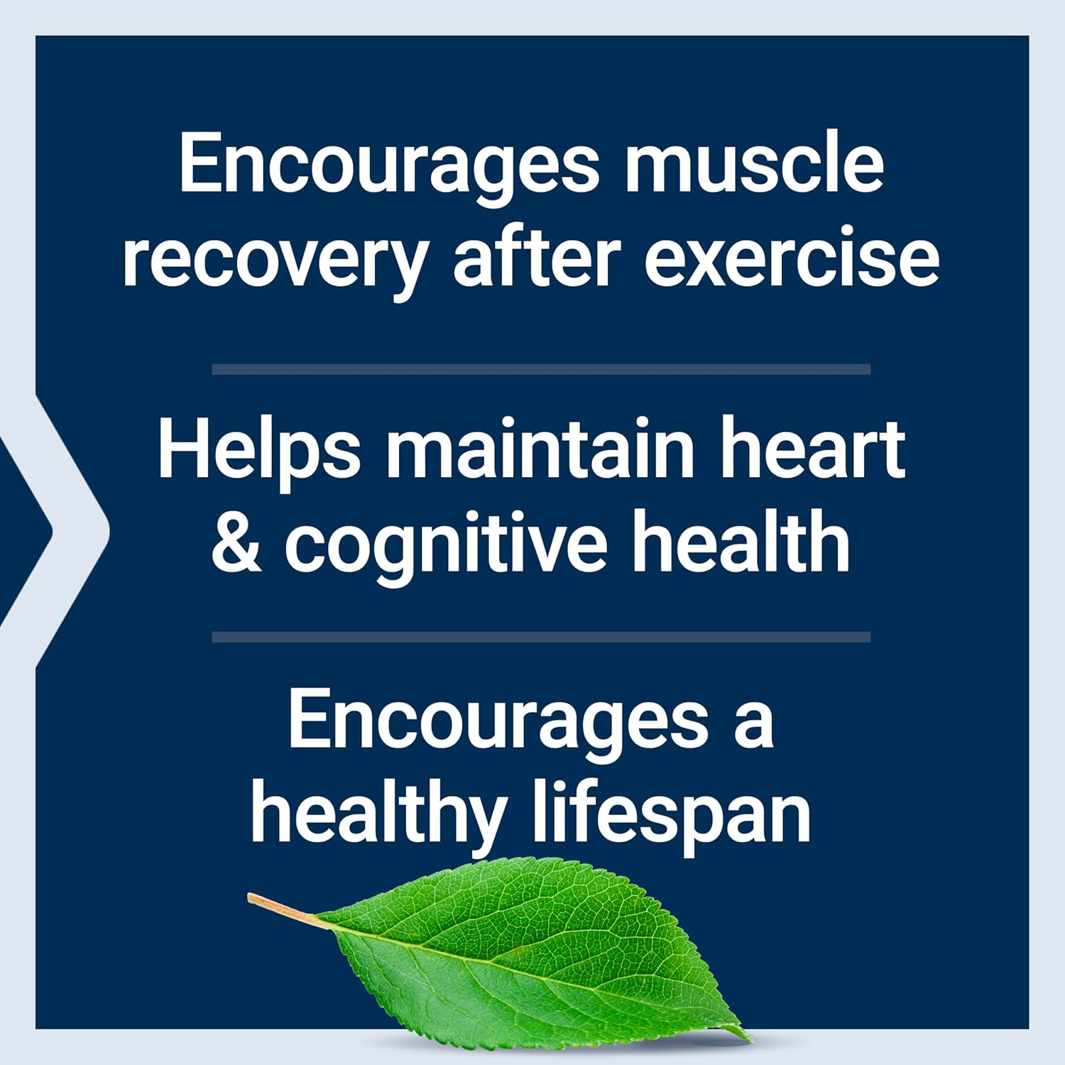 Life Extension Taurine 1000 mg