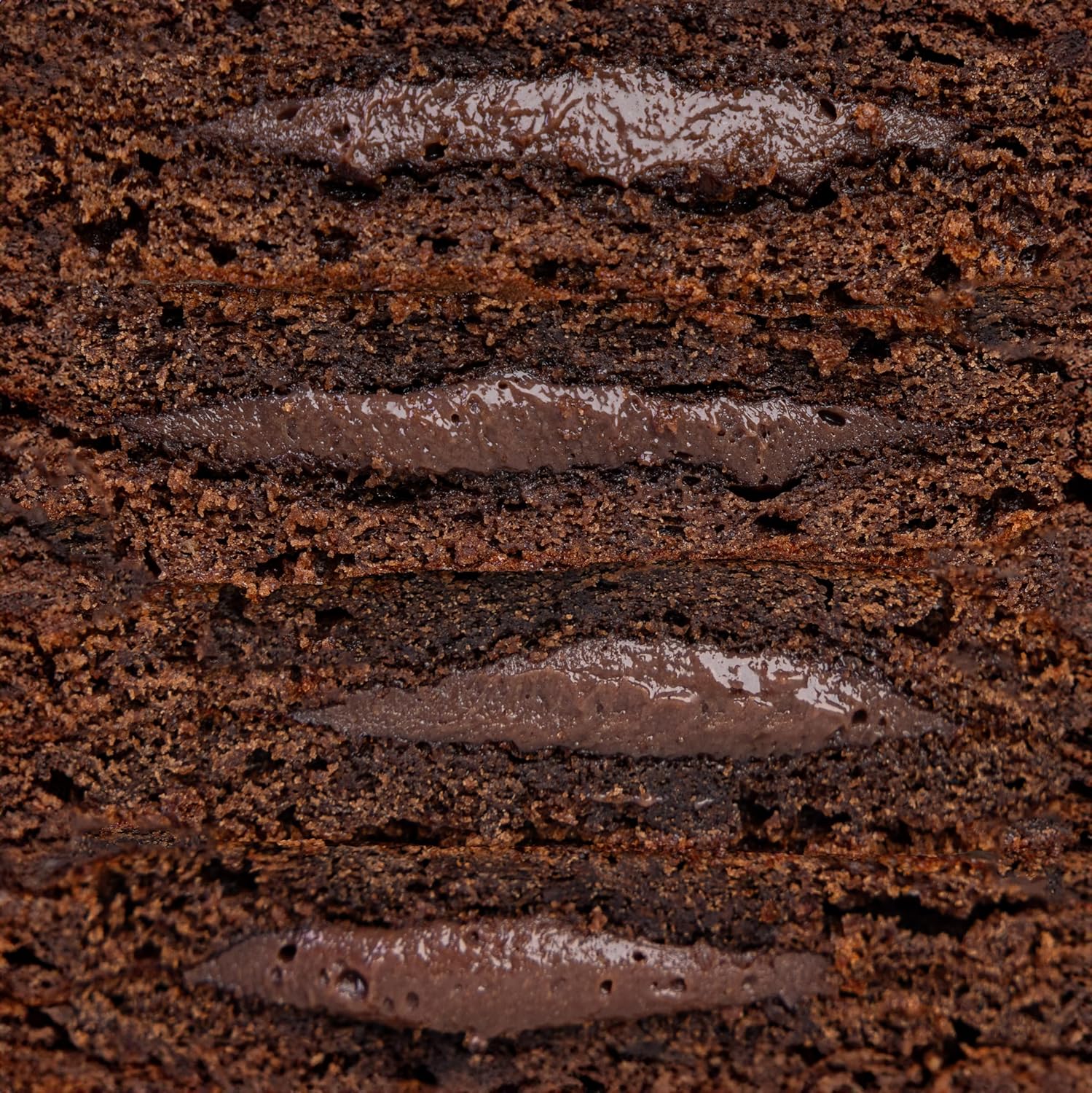 Go Fitness Protein Pancakes