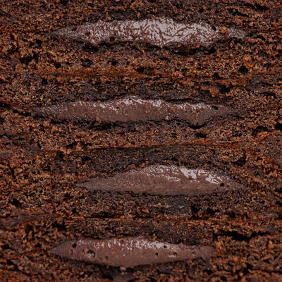 Go Fitness Protein Pancakes